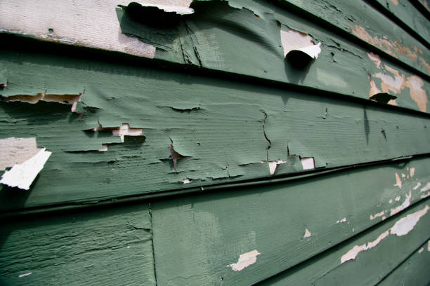 Best Insulated Siding Installation  in Hudson, WI