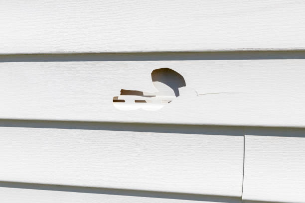 Trusted Hudson, WI Siding Installation & Repair Experts